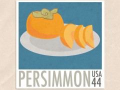 Persimmon 44