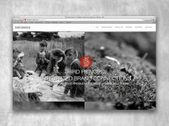 Third Principle website